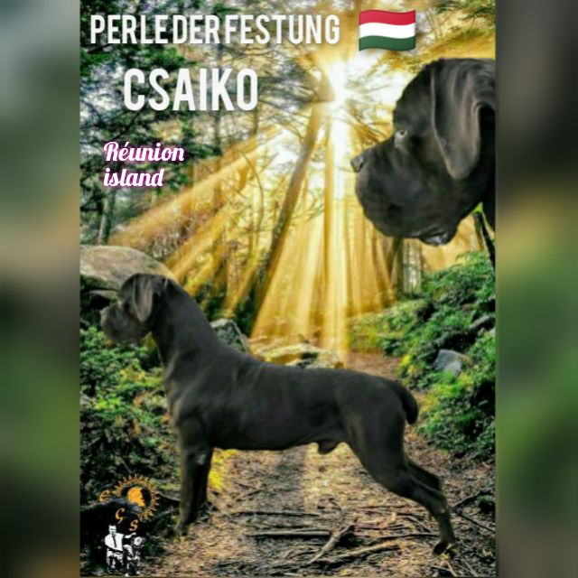 perle der festung Csaiko