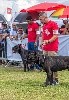  - Ted payet avec EMPIRE DES MOLOSSES DOG SHOW ÎLE MAURICE 2019