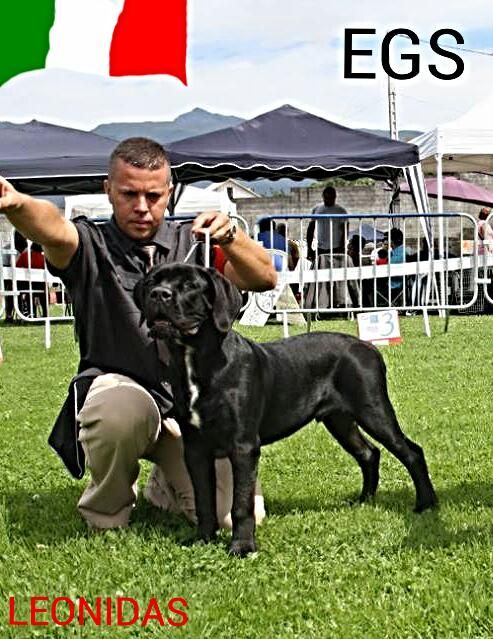 De La Guardia Del Sole - Expo canine nationale au Tampon