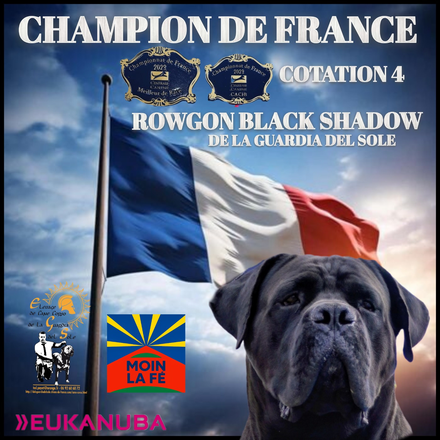 Rowgon Black shadow de la guardia del Sole Champion France