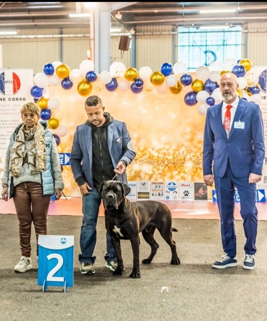 Nationale elevage 2025 